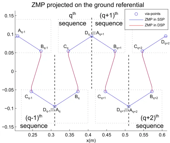 Figure 3.3 Example of walking sequences with via-points (o) and ZMP trajectories during SSP (blue) and DSP (red)