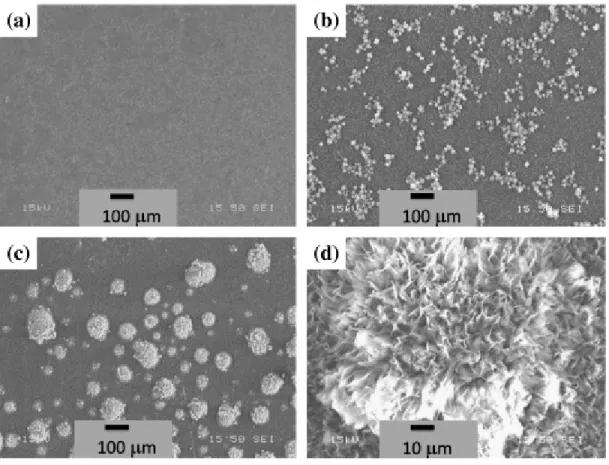 Fig. 1.  SEM images of the anodic surface of the copper electrode after the application of 30 V  DC voltage in an ethanolic stearic acid solution for (a) 0.5 h, (b) 1.5 h, (c) 3 h, (d) the morphology  of a single particle as observed after 3 h.