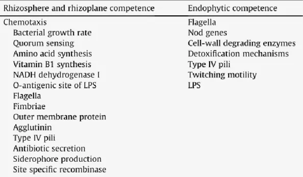 Tableau 9 : Compétences bactériennes connues et requises dans la rhizosphère, le rhizoplan et/ou l’endosphère par les  PGPB (Compant et al., 2009)
