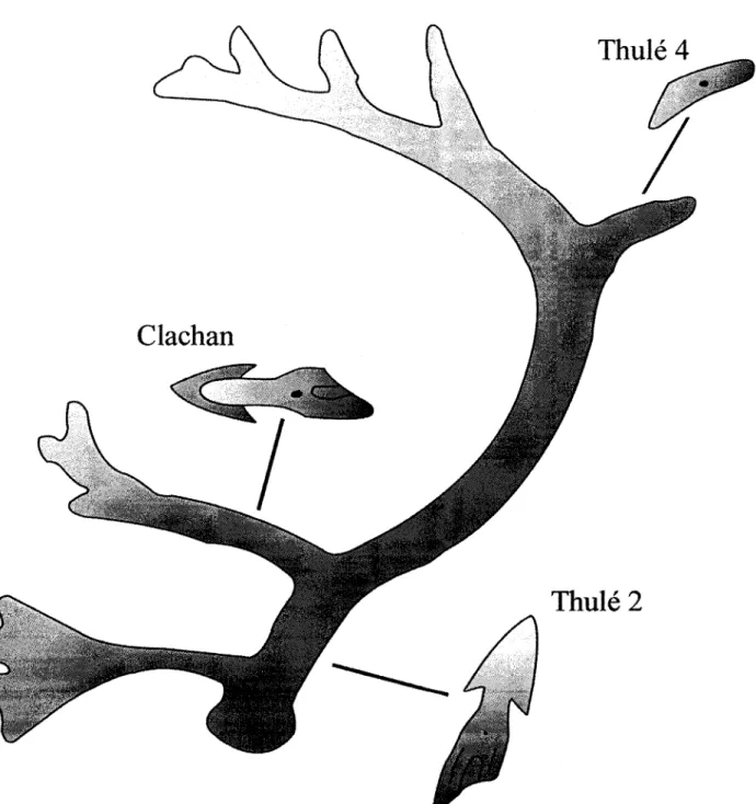 Figure 4:  Les types Thulé selon le  segment de  la branche  d'andouiller. (Tiré de Le Mouël et Le Mouë12000:  192)