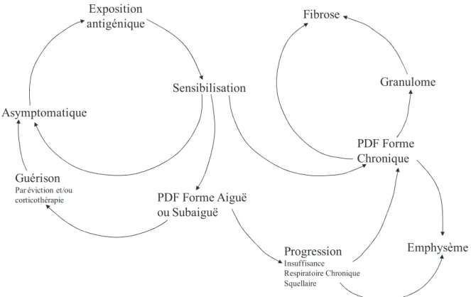 Figure 3 : Schéma de la dynamique et de l’évolution possible des PHS, inspiré de (Bourke et  al., 2001)