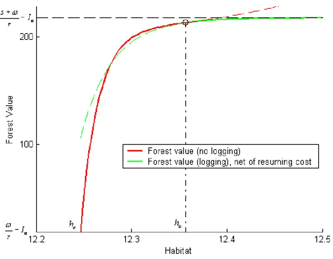 Figure 4: Forest value and habitat threshold during a logging ban