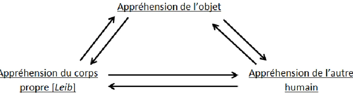 Figure 2 : L’appréhension du corps propre depuis l’appréhension de l’objet et de l’autre 