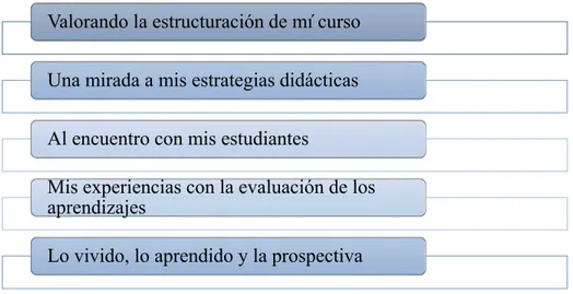 Figura 4: Encuentros desarrollados en el dispositivo de formación  Valorando la estructuración de mí curso