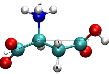 Figure 3.2 – G´eom´etrie de l’acide aspartique l . Les cercles de couleur verte, rouge, bleue et blanche correspondent respectivement aux atomes C, O, N et H.