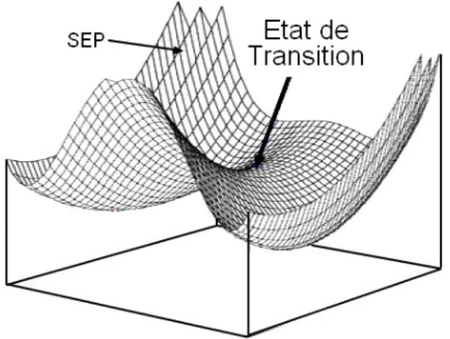 Fig. 2.3 – Représentation d’une surface d’énergie potentielle (SEP) présentant un état de transition.