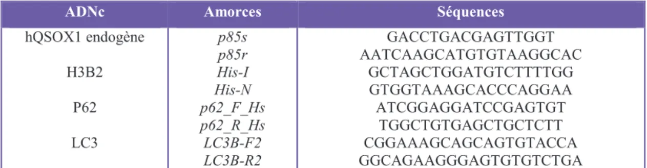 Tableau 5 :  Séquences des amorces utilisées pour les réactions de PCR quantitative en temps réel.