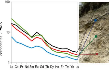 Figure 2.25: Spectre de TR du profil d'altération des carbonatites ; normalisation par rapport au  PAAS, n=1.