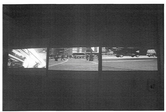Figure no 4. Observations new-yorkaises, vidéo, projecteur, New York, 2008.