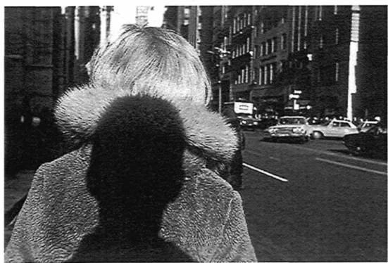 Figure no 7. New York city, Lee Friedlander, 1966