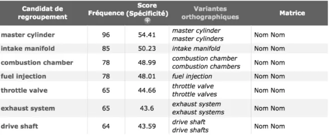 Figure 21 : Exemple de sortie de l’extracteur TermoStat 