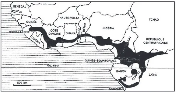 Figure  11.  Aire  Naturelle  de  Distribution  du  Terminalia  superba  (Groulez  et  Wood, 1984)