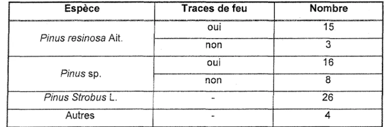 Tableau 5. Identification anatomique des souches présentes sur le site du iac Wapizagonke.