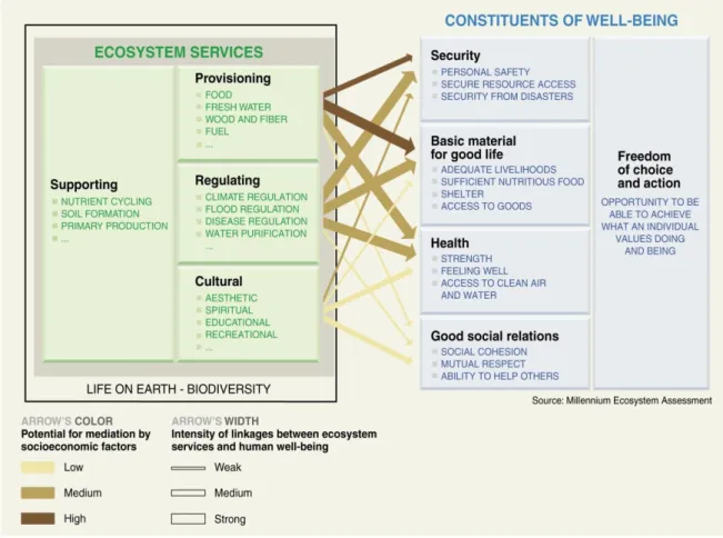 Figure A-2 : Représentation schématique des services rendus par les écosystèmes et leurs relations avec les bénéfices  potentiels pour les sociétés humaines (source Millennium Ecosystem Assessment)