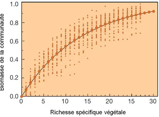 Figure A-3 : Relation théorique, obtenue grâce à des simulations sur une modèle théorique, entre biodiversité  (richesse spécifique) et productivité de l’écosystème selon Tilman (2000)