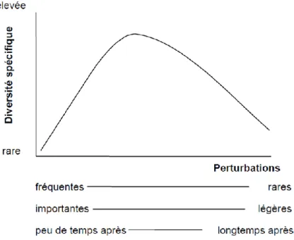 Figure A-9 : Schéma représentant la théorie de perturbation intermédiaire de Connell (1978)
