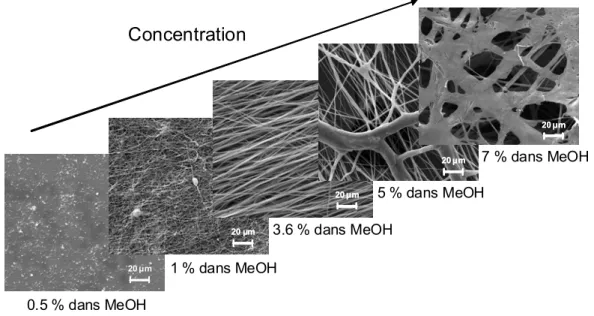 Figure 1.5 : Effet de la concentration en PEO (m/v) sur la morphologie de nanofils de  complexe PEO-hydroquinone