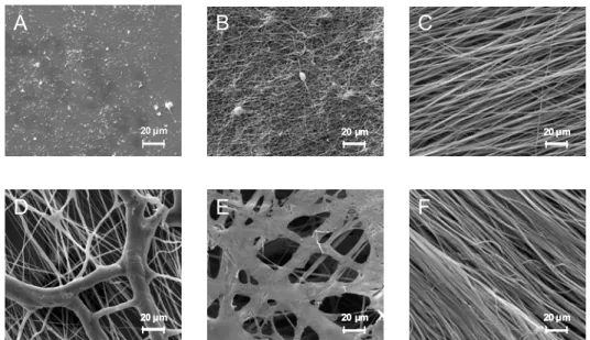 Figure 2.1: SEM images of PEO-hydroquinone samples electrospun from solutions with   0.5%, 1%, 3.6%, 5%, and 7% m/v of PEO in methanol (A to E, respectively),  and of a  PEO-NaSCN electrospun  sample (F)