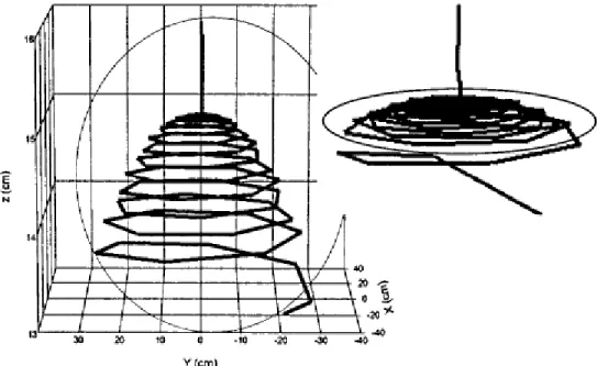 Figure 2.1:  Image de la trajectoire spirale du jet électrofilé. 66