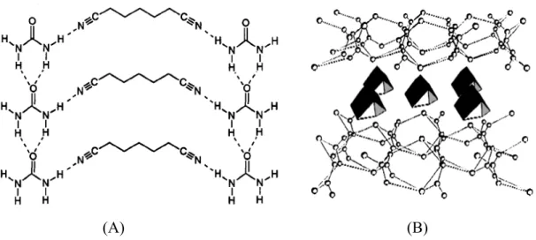 Figure 1.3.  The layer-structured supramolecular compound of A) NC(CH 2 ) 5 CN with  urea 60  and B) 1,4-diazabicyclo octane with thiourea