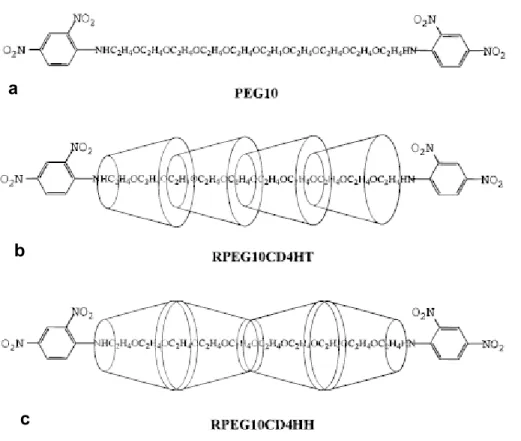 Figure 1.5. An isolated chain containing (a) 10 oxyethylene units (PEG10) and (b)  polyrotaxanes containing 10 oxyethylene units and 4 α-cyclodextrins (represented by  toruses) oriented head-to-tail or (c)head-to-head and tail-to-tail