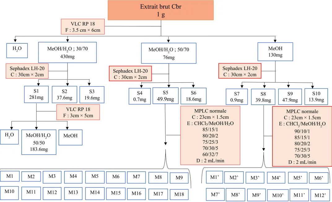 Figure 26: Etapes de purification à partir de 1g d'extrait brut de Cbr 