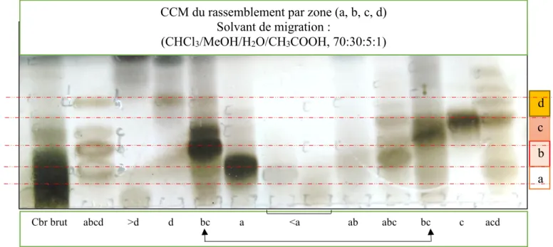 Figure 28: CCM de rassemblement par zone des composés isolés de C. blepharophyllum