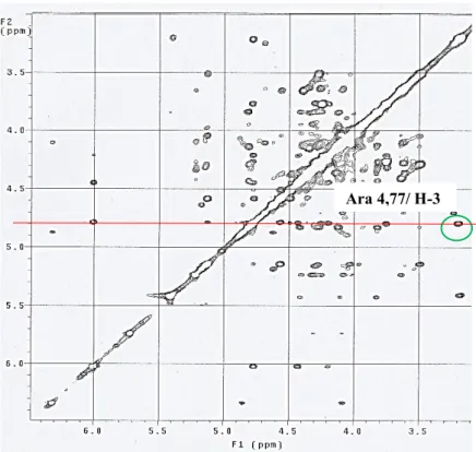 Figure 45: Spectre NOESY du composé 5 montrant le point de liaison des sucres avec la génine