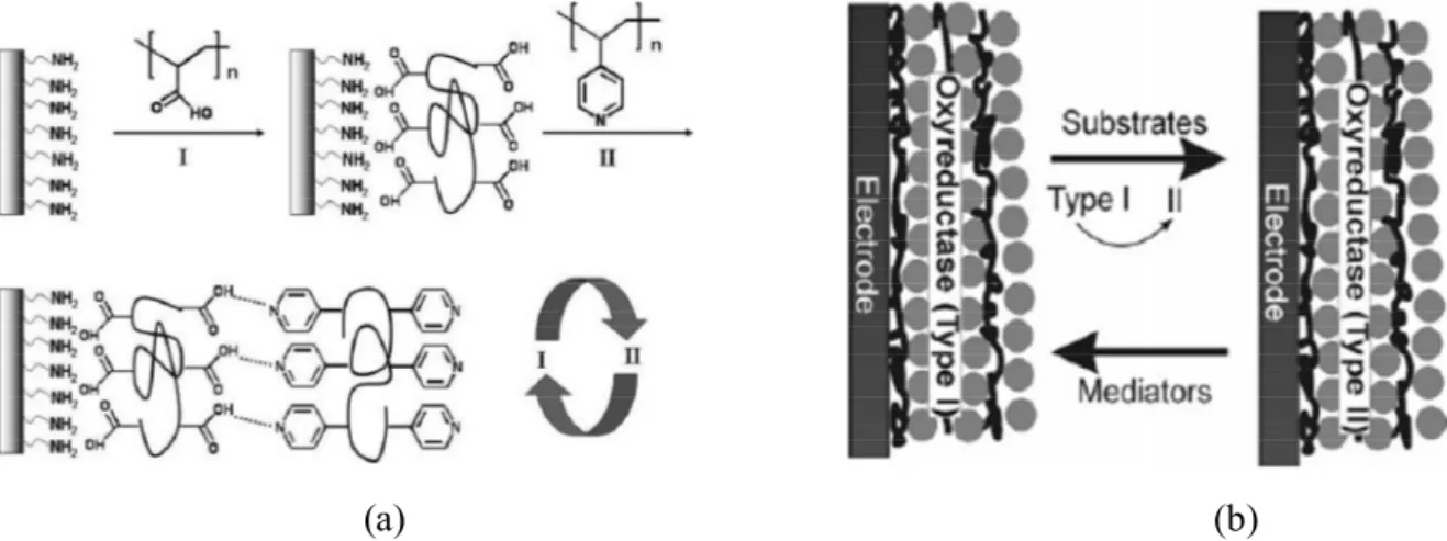 Figure  1.3.  (a)  Layer-by-layer  assembly  based  on  hydrogen  bonding.  Reproduced  with  permission  from  Ref