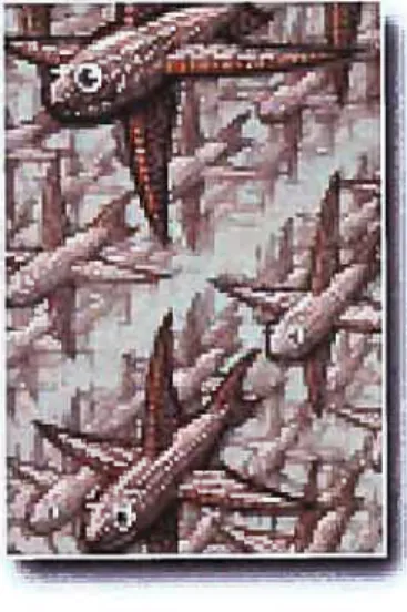 FIG. 12. Reuiplissage de l’espace avec des cubes par Escher
