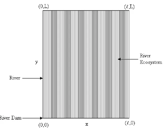 Figure 3.1: The river ecosystem