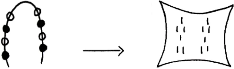 Fig. 5. – Des signes empiriques aux figurations indicielles. 