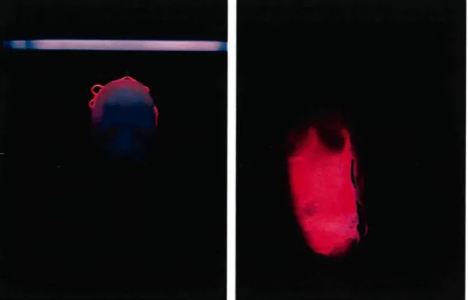 Figure 15. Portrait (Essai cire black lightl), Chicoutimi, mars 2010 Figure 16. Corps (Essai cire black lightl), Chicoutimi, mars 2010