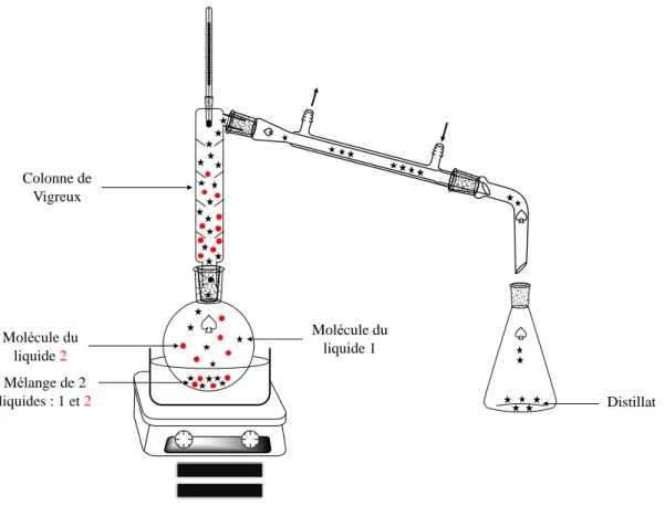 Illustration du principe de la distillation fractionnée : 