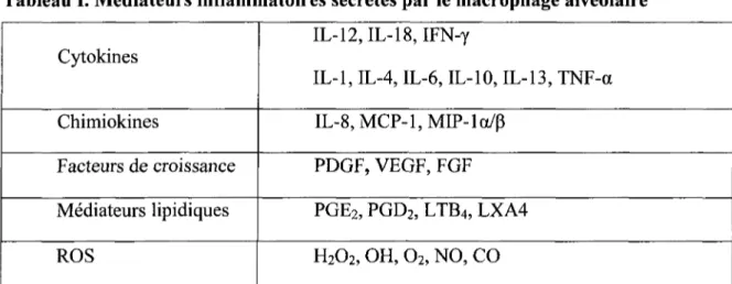 Tableau I. Médiateurs inflammatoires sécrétés par le macrophage alvéolaire Cytokines Chimiokines Facteurs de croissance Médiateurs lipidiques ROS