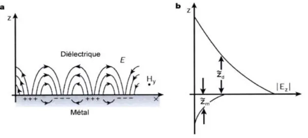Figure I.1. La propagation des oscillations du plasma d’électrons libres à la surface du  métal