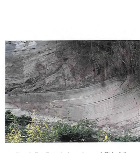 Figure 5 : Photo illustrant la séquence des varves de Piànico, Italie.