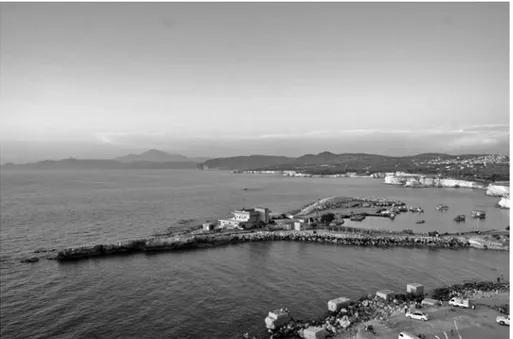 Fig. 1. La baie de Fasri, vue depuis le sud (photo J. Aliquot 2009)