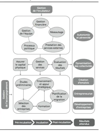 Figure 1 : Modèle de gestion d’incubateurs de coopératives 