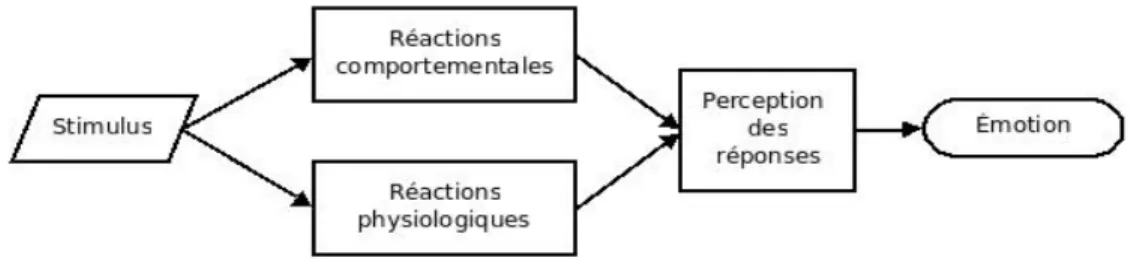 Figure 5.1 Modèle de James-Lange du processus responsable de l'émotion 5.2 Principales critiques du modèle physiologique