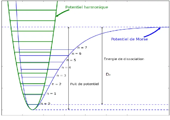 Figure 2.1. Courbe du potentiel de Morse montrant les niveaux d’énergie. 
