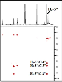Figure III-15: Partie du spectre HMBC montrant les corrélations   du groupement méthyle en C-5'' 