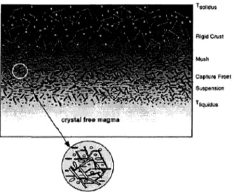 Figure 6 : Accumulation et capture de cristaux au niveau du front de solidification supérieur (front de capture)
