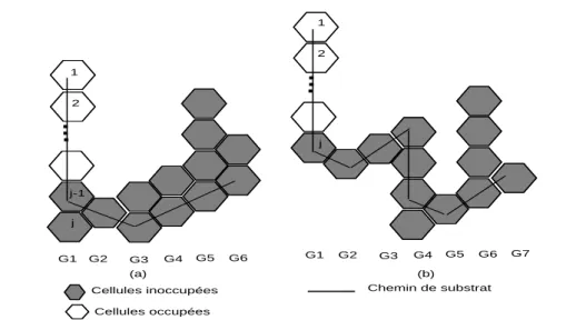 Figure 2.3 – Exemples : (a) d’une configuration finale admissible et (b) une configuration finale inadmissible, dans (a) toutes les colonnes sont compos´ ees de cellules contigu¨ es, dans (b) G3 et G5 sont compos´ es de cellules non-contigu¨ es
