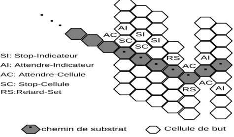 Figure 2.11 – Le placement des marqueurs dans la configuration finale pour ´ eviter l’inter blocage [6]