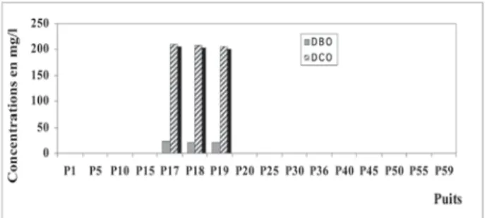 Figure 3 : Teneur en DBO et en DCO dans les puits étudiés.
