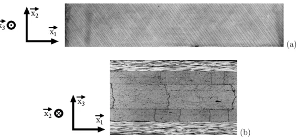 Figure 1.6 – Illustration d’un phénomène de fatigue sur un matériau composite à fibres conti- conti-nues : phénomène de fissuration intralaminaire (endommagement diffus) qui pourrait être étudié dans le cadre de la fatigue à l’aide de la Mécanique de l’End