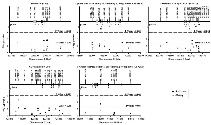 Figure 5b shows that the risk of asthma increases with theGenetic association of SNPs in the vitamin D pathway genes with asthma and atopy in the SLSJ study