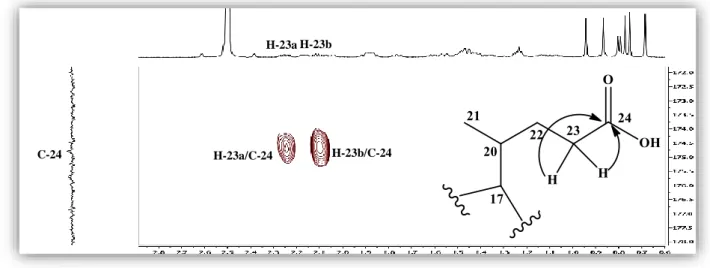 Figure II.30. Spectre HMBC de la chaine latérale du composé 1 