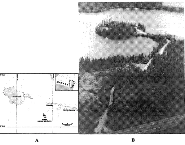 Figure 1. Localisation du site d'étude (A) ; tourbière du lac des îlets, Saguenay, Québec (B) ; sites d'échantillonnage: section de la tourbière ombrotrophe ouverte (C) ; section de la tourbière ombrotrophe boisée (D).
